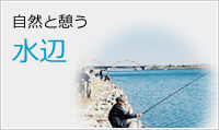 自然と憩う水辺